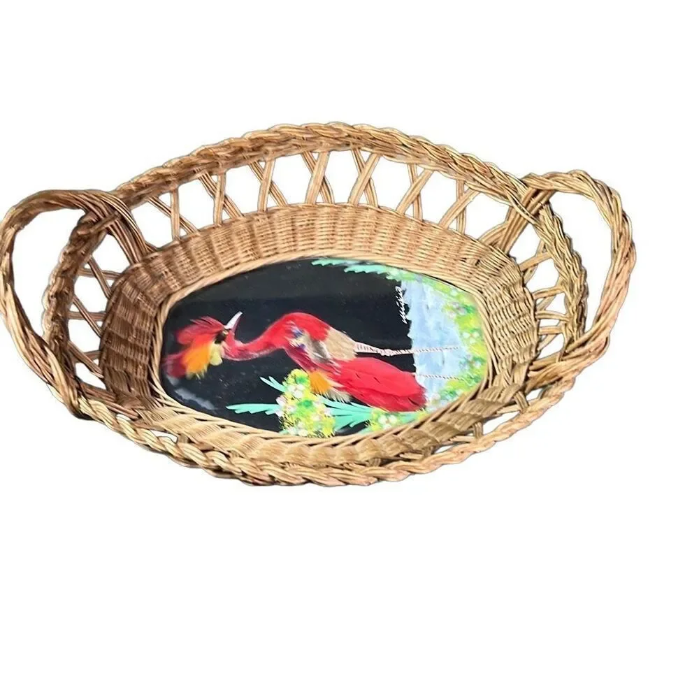 Vintage Mexico Bird Feather Folk Art Painted Wicker Basket Wall Decor 12
